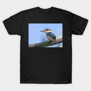 Red-backed Kingfisher T-Shirt